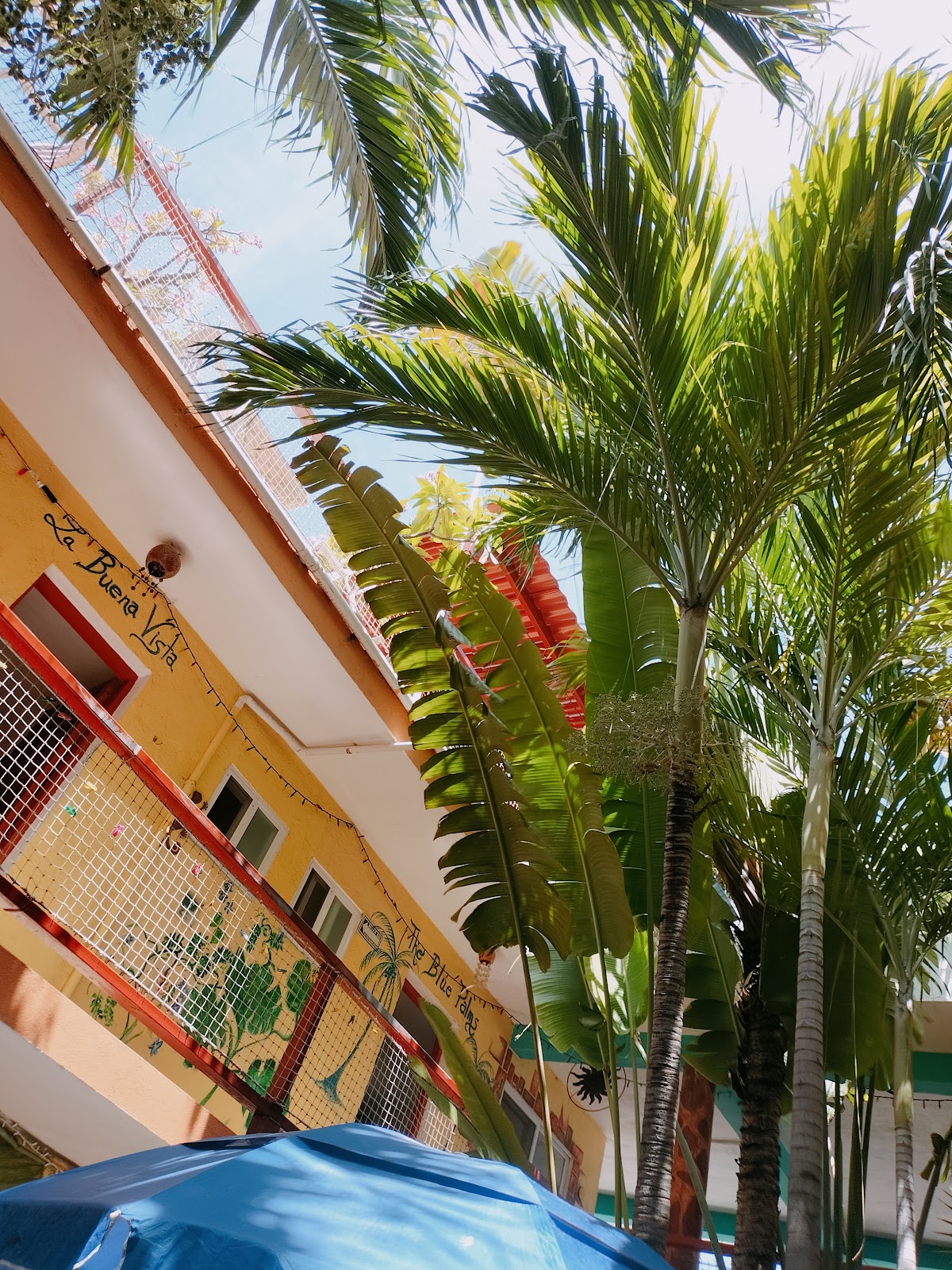 Hotel Las Palmas gallery 9