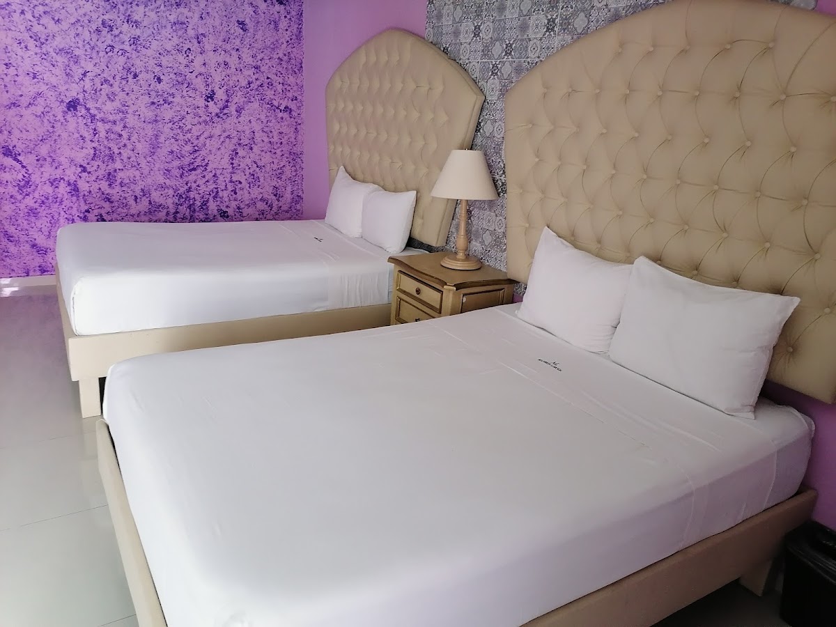 Hotel Lavanda Mid gallery 2