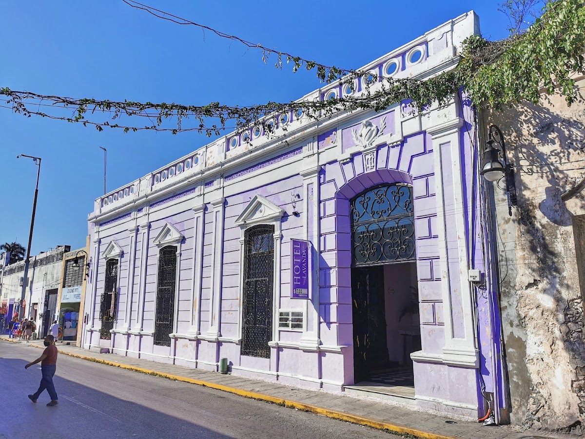 Hotel Lavanda Mid gallery 6