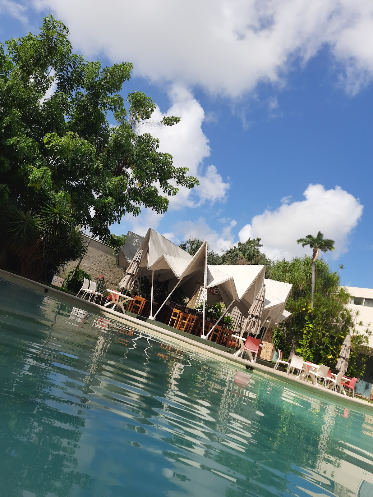 Hotel María del Carmen gallery 3