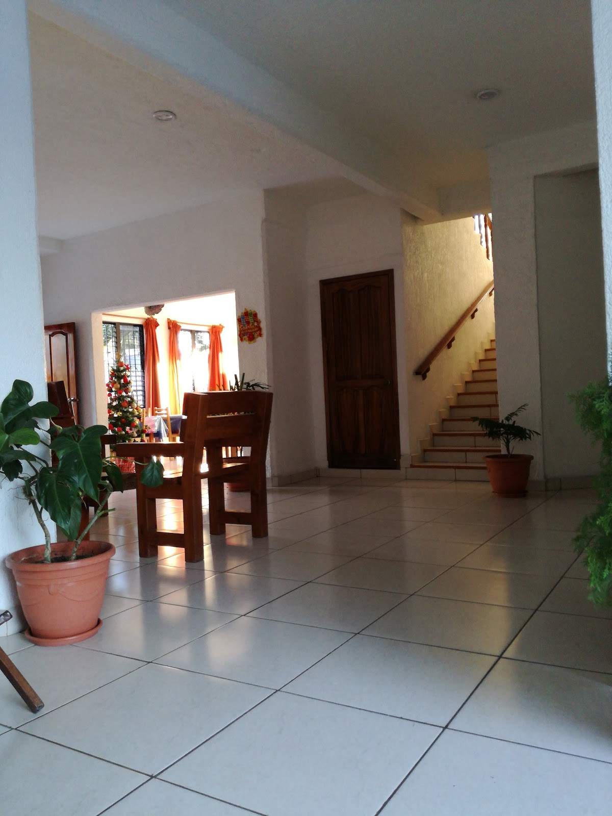 Hotel Martina's gallery 7
