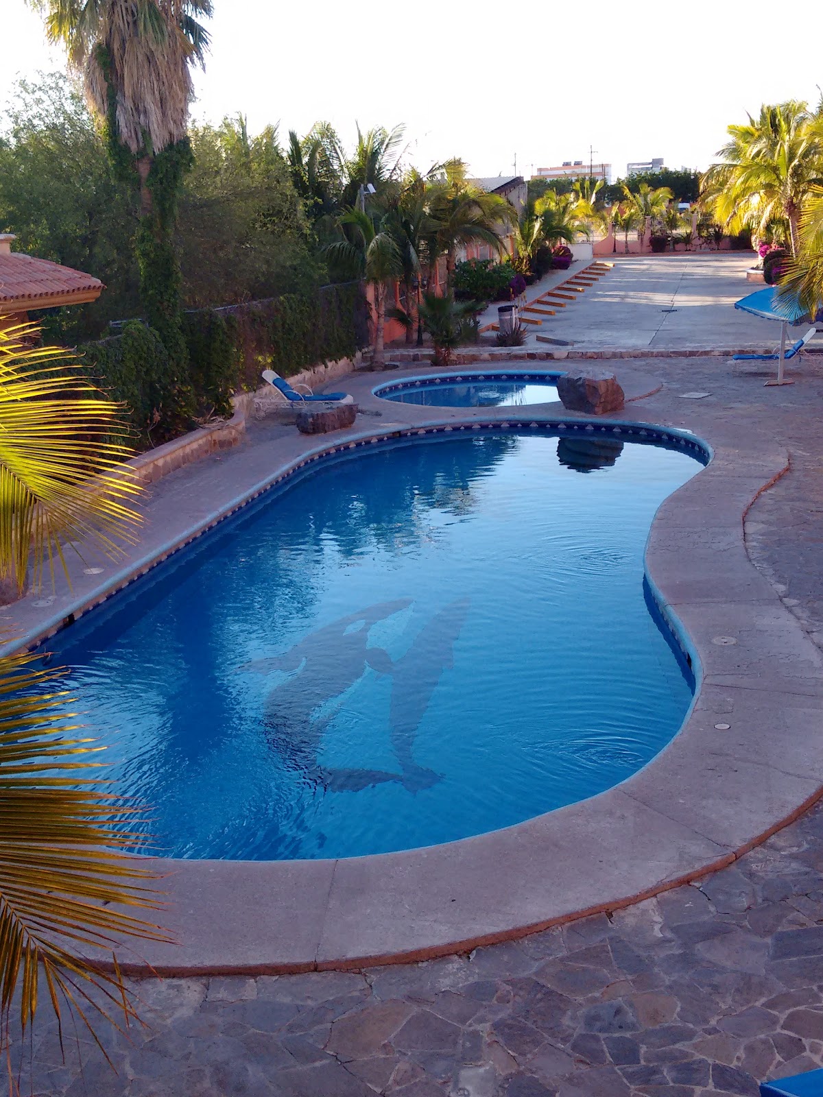 Hotel Oasis de la Paz gallery 10