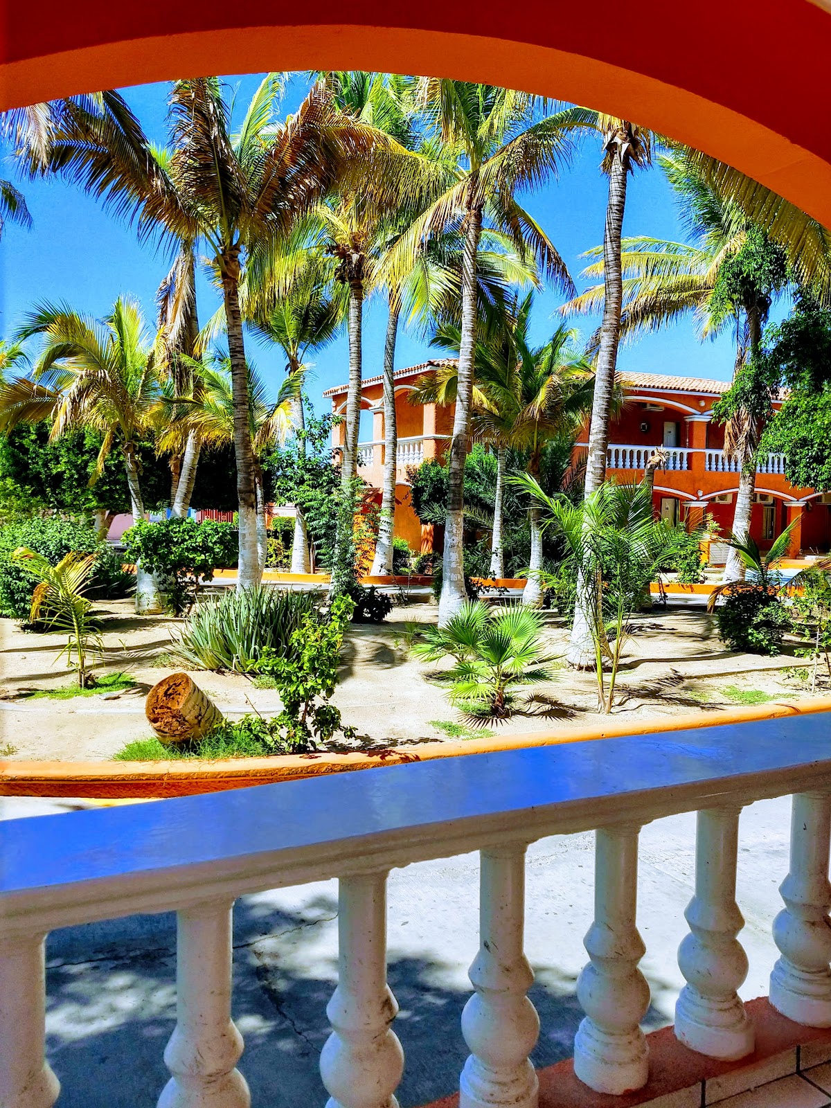 Hotel Oasis de la Paz gallery 7