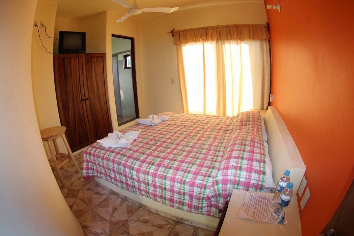 Hotel Palma Real gallery 2