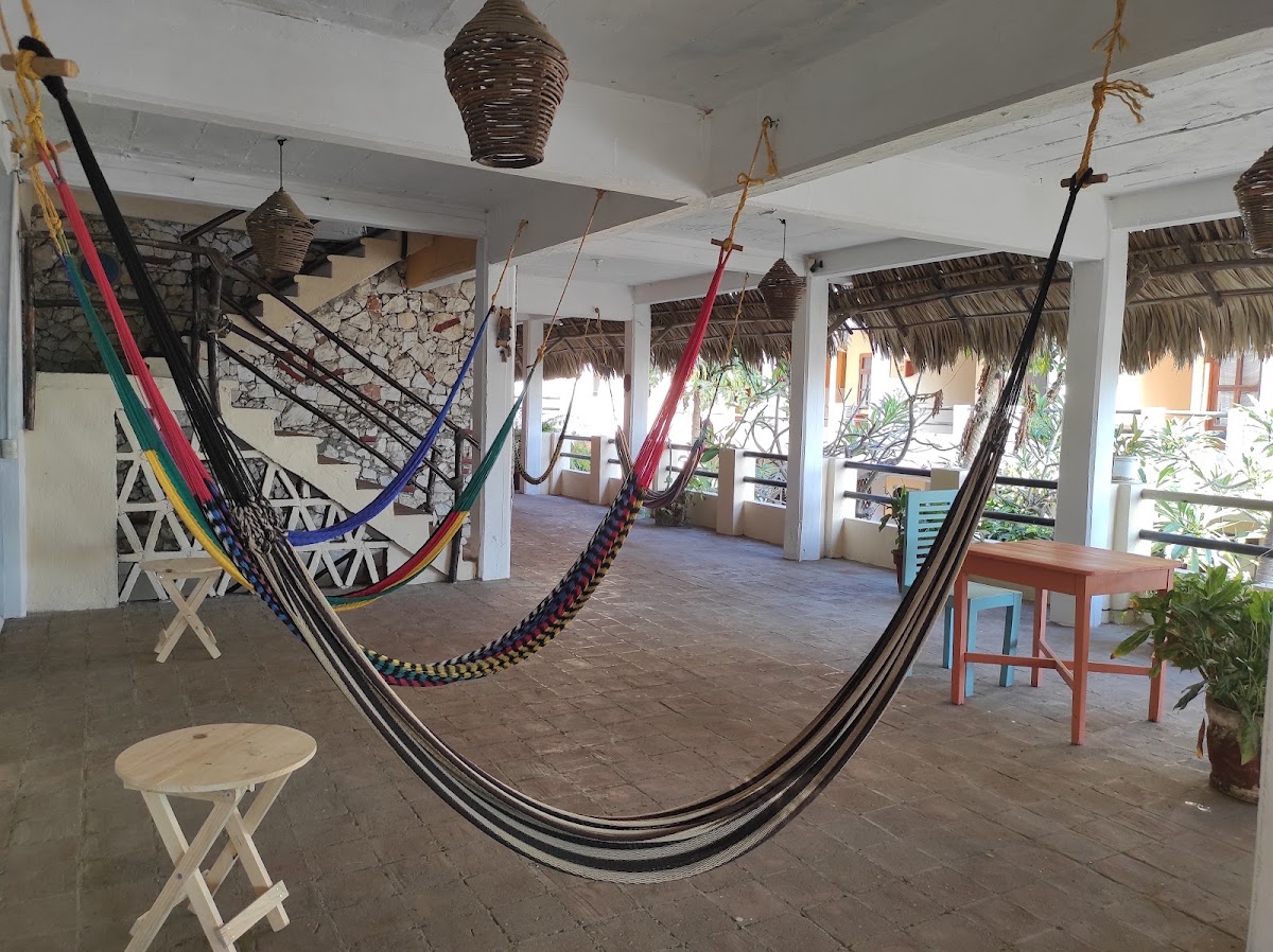 Hotel Papaya Surf gallery 9
