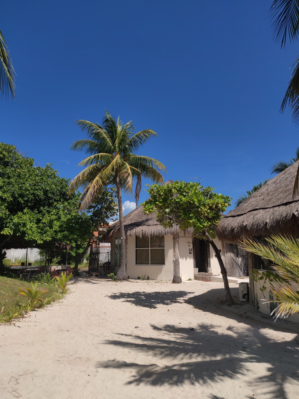 Hotel Paradise Suites gallery 1