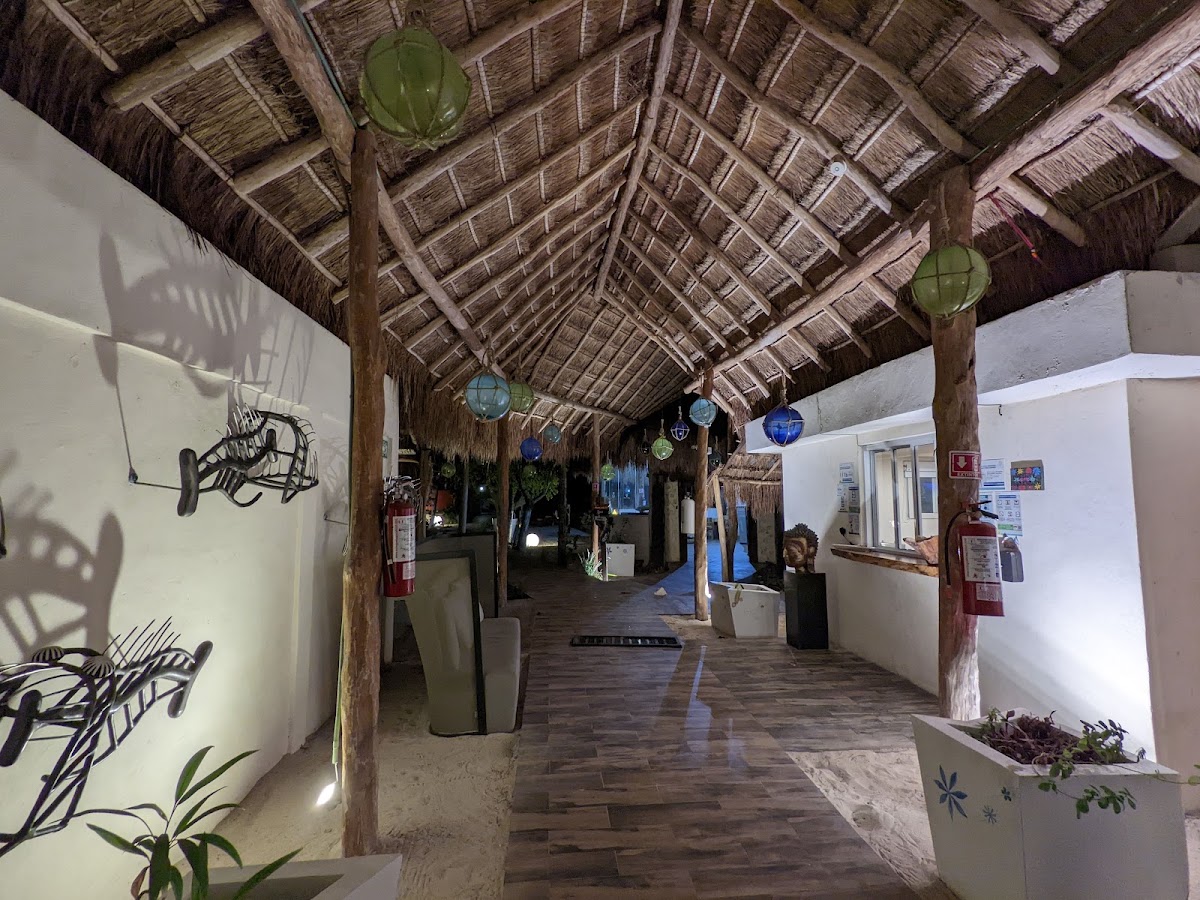 Hotel Paradise Suites gallery 5