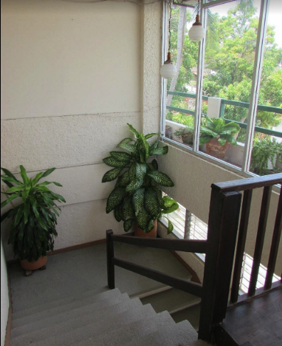 Hotel Puerto Piedra gallery 10