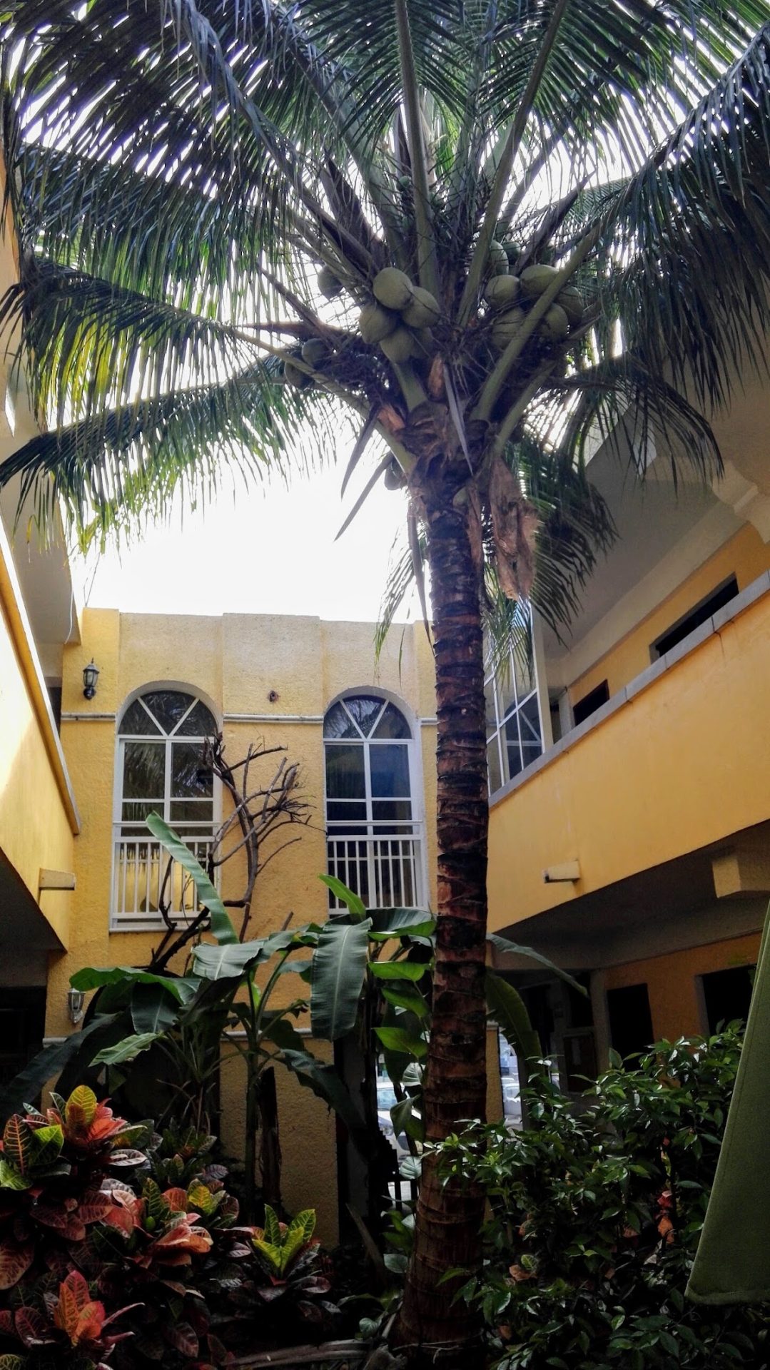 Hotel Real del Mayab gallery 6
