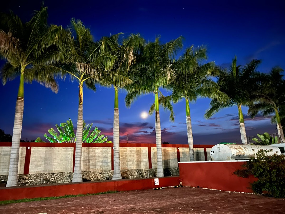 Hotel Real Zaci gallery 1