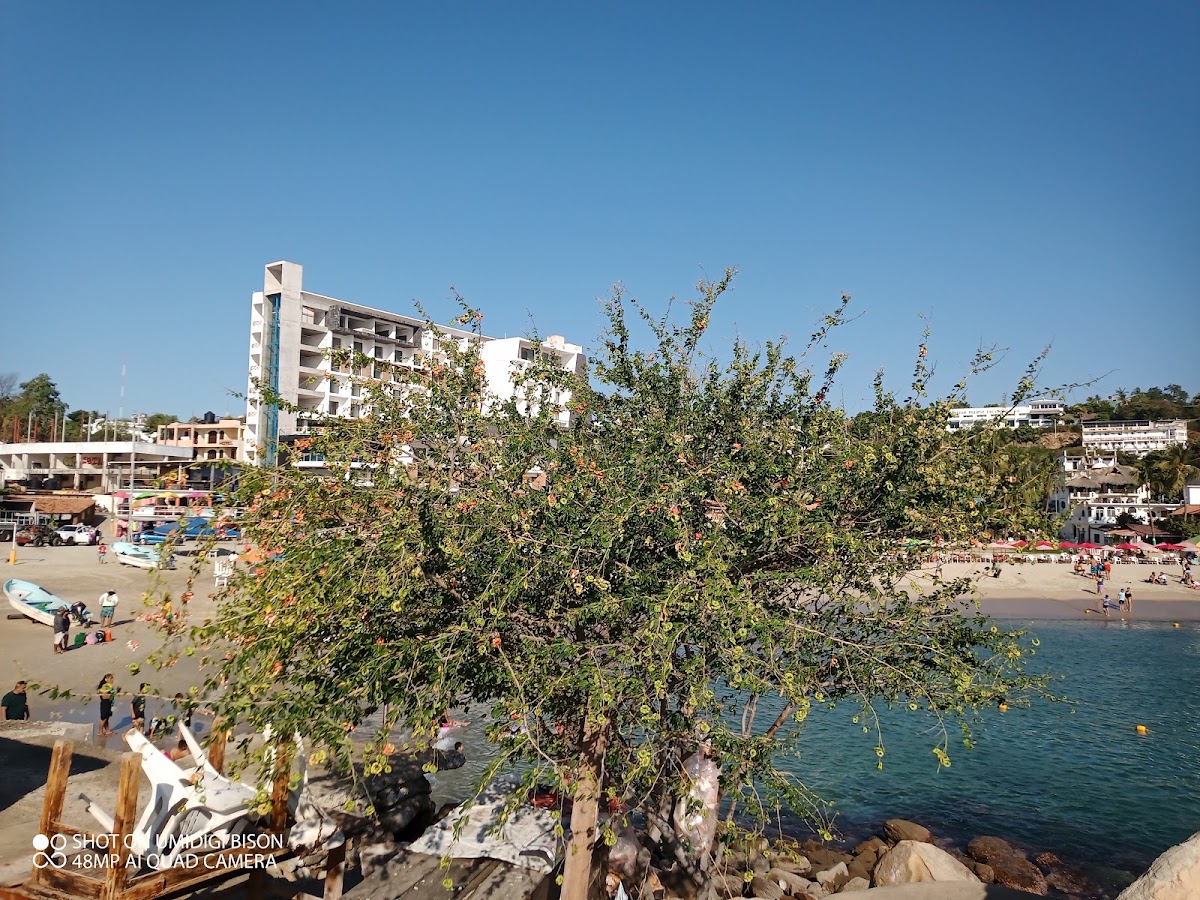 Hotel Roca Mar gallery 9