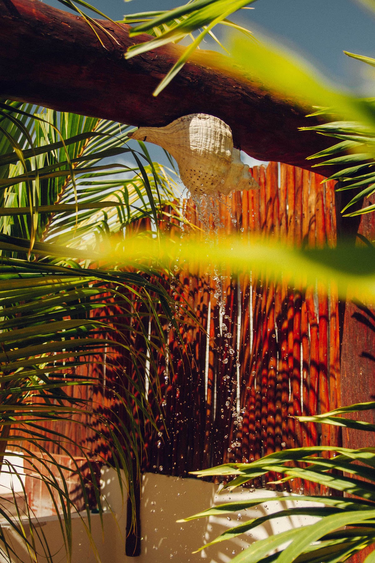 Hotel Shankara Holbox gallery 10