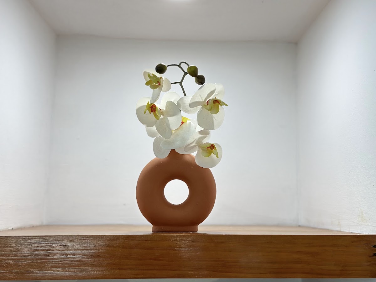 Hotel Tropica gallery 10