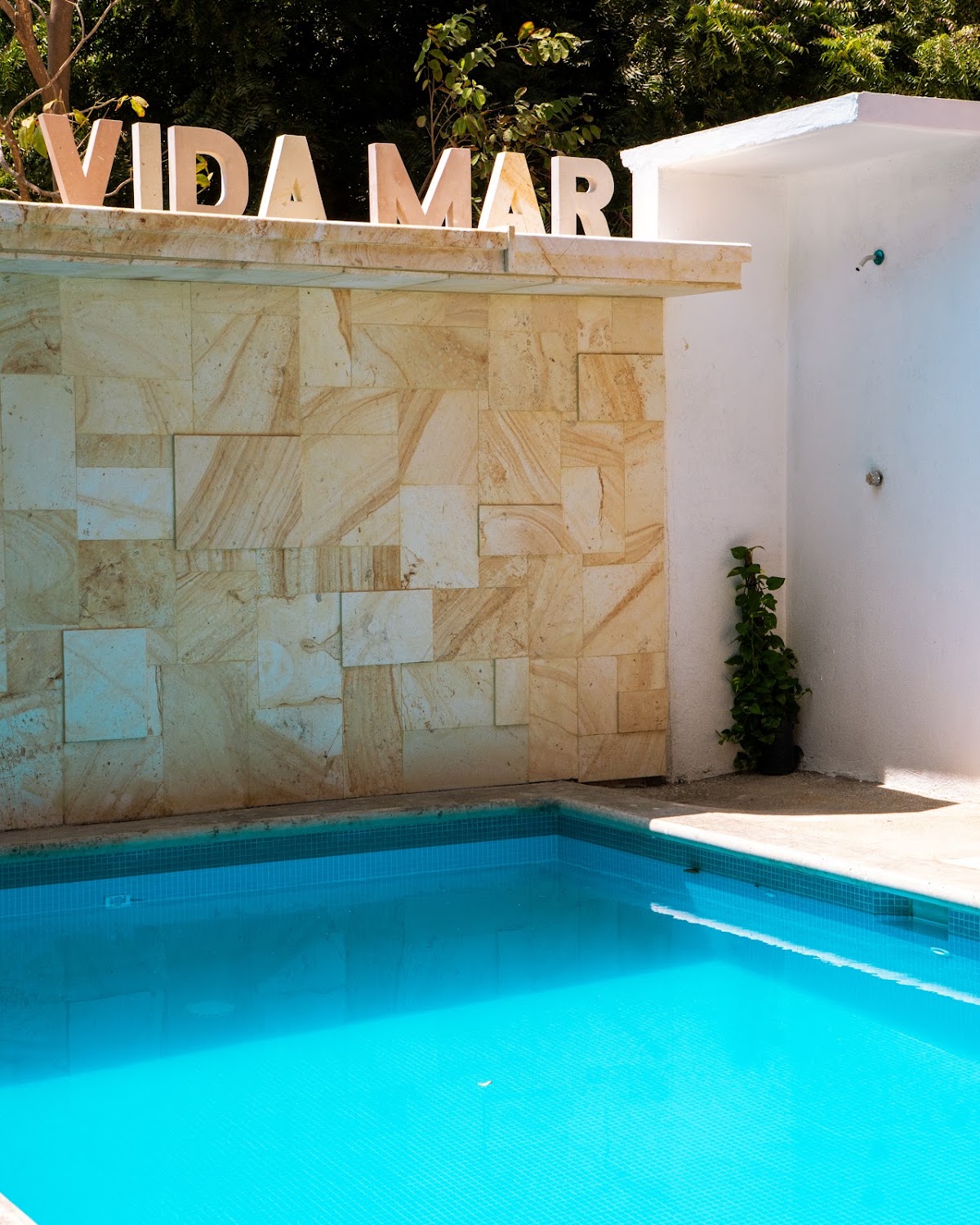 Hotel VidaMar gallery 10