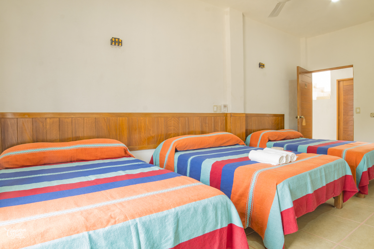 Hotel VidaMar gallery 2