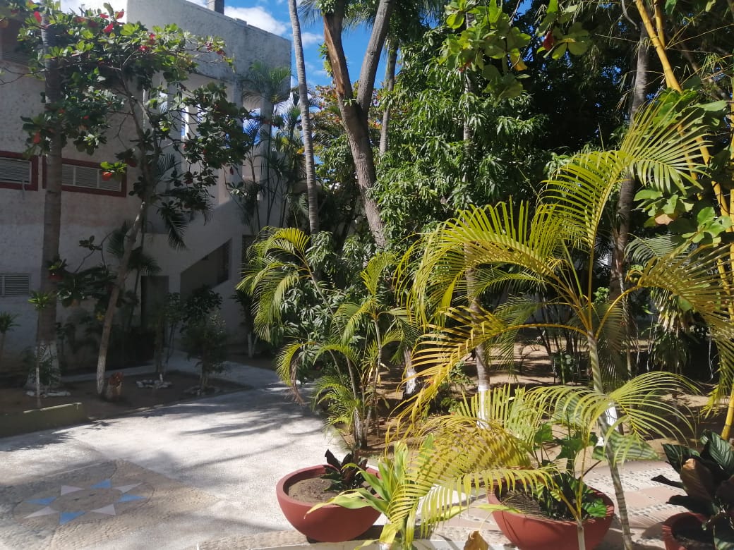 Hotel Villa Mexicana gallery 5