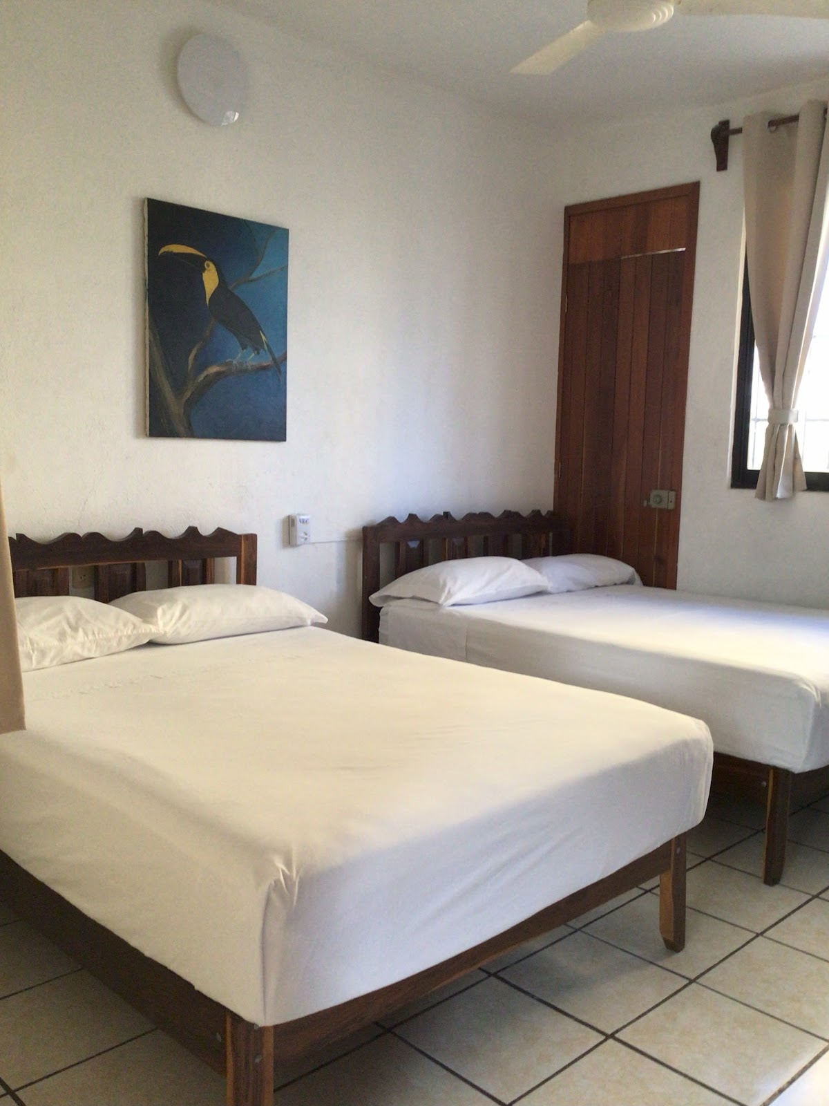 Hotel Villa Tulipanes gallery 2