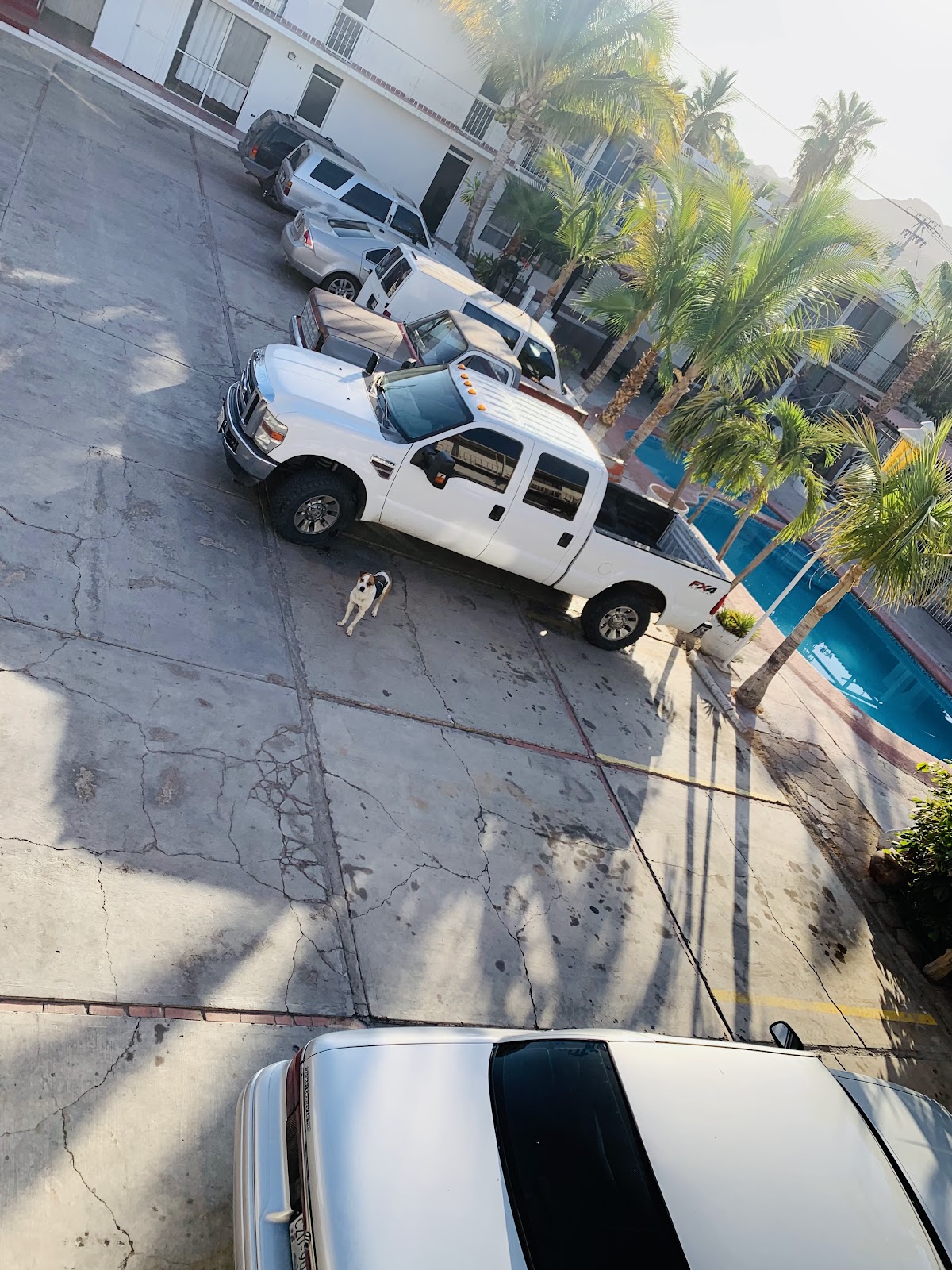 Hotel y Suites Posadas Mora gallery 10