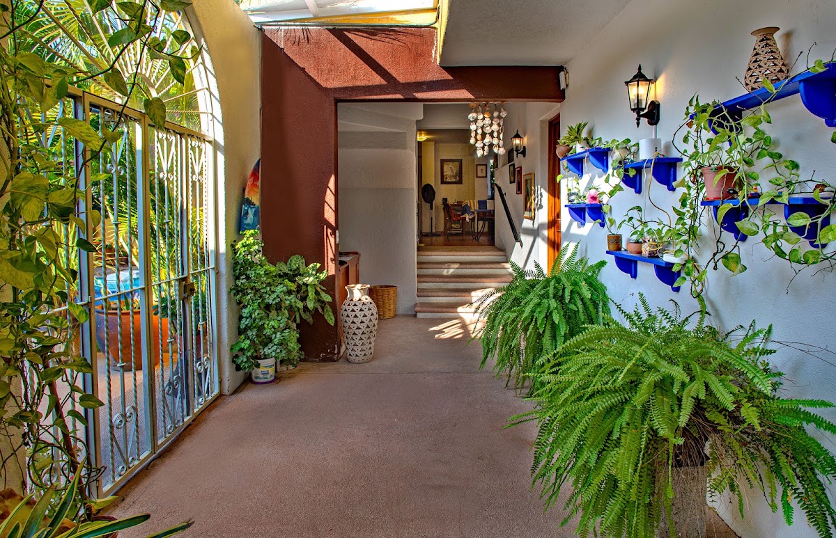 Hotel Zandoyo Bed & Breakfast gallery 7