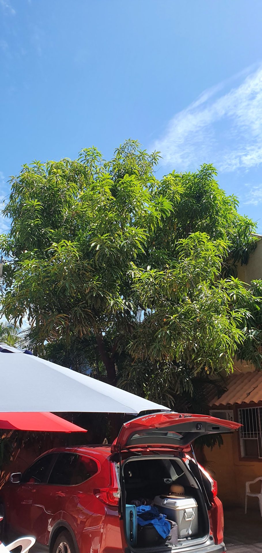 Hotel Zihuatanejo Dorado gallery 8