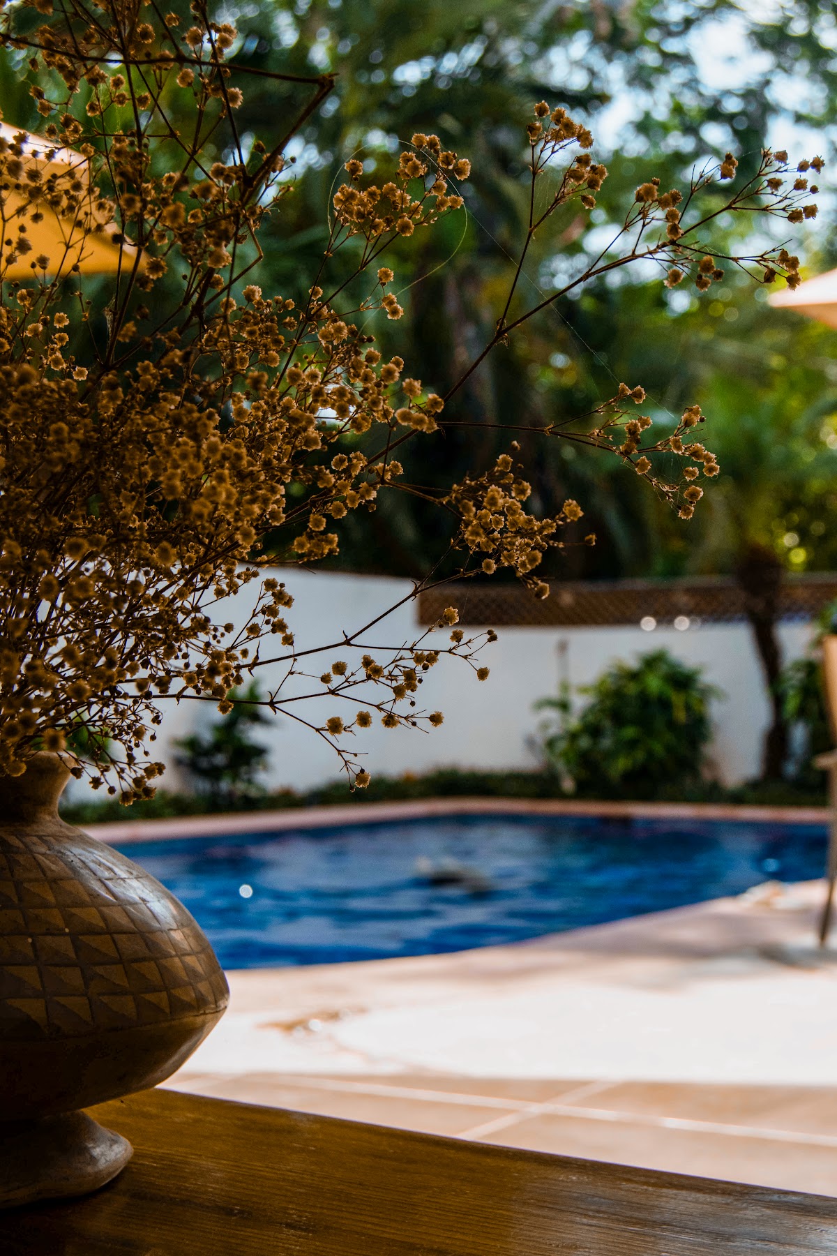 Hotelito Los Sueños gallery 3