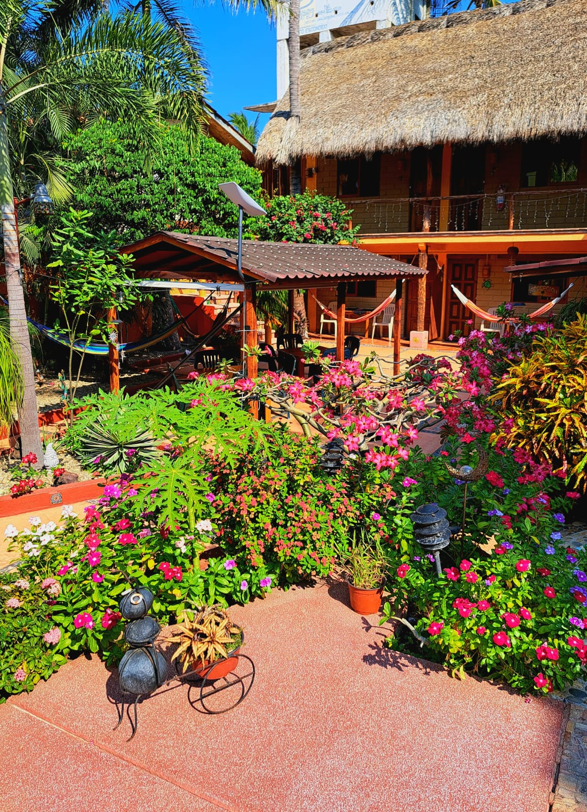 Hotelito Swiss Oasis - Solo Adultos gallery 1