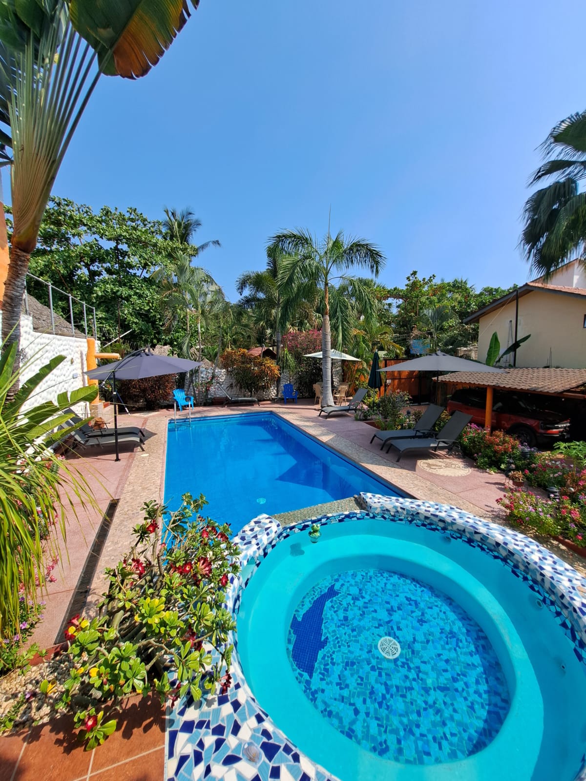 Hotelito Swiss Oasis - Solo Adultos gallery 3