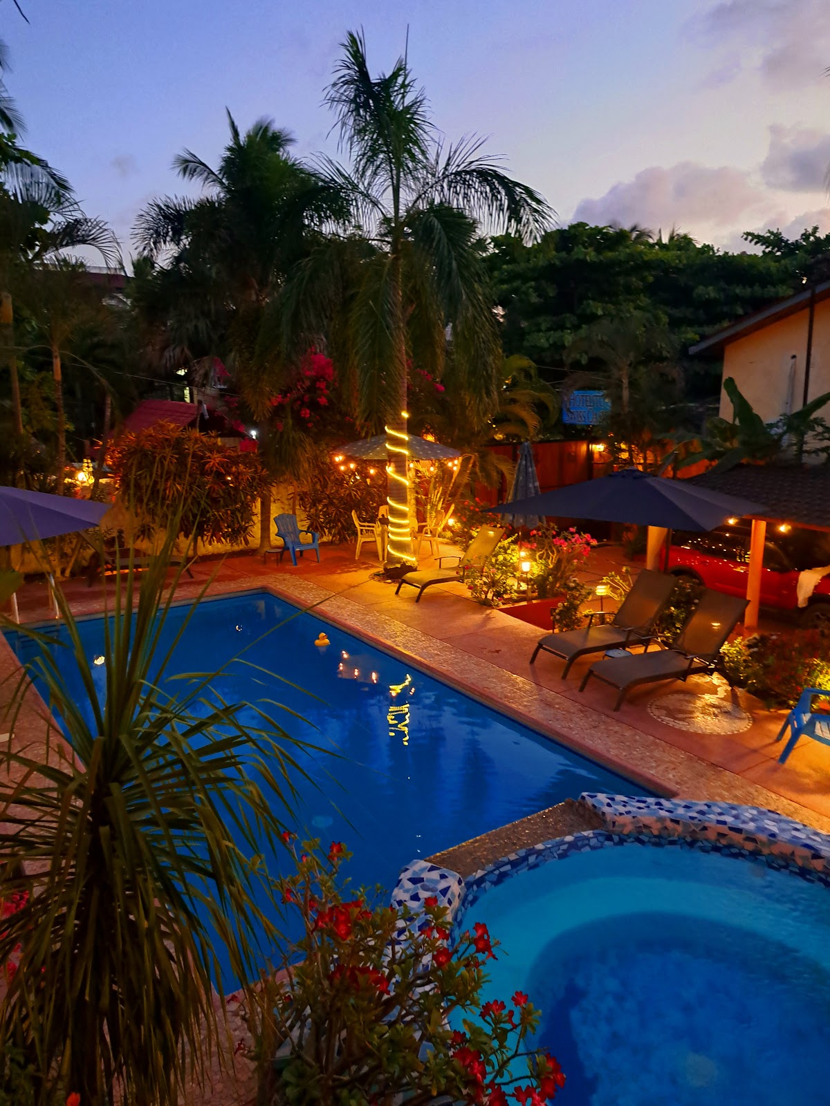 Hotelito Swiss Oasis - Solo Adultos gallery 5