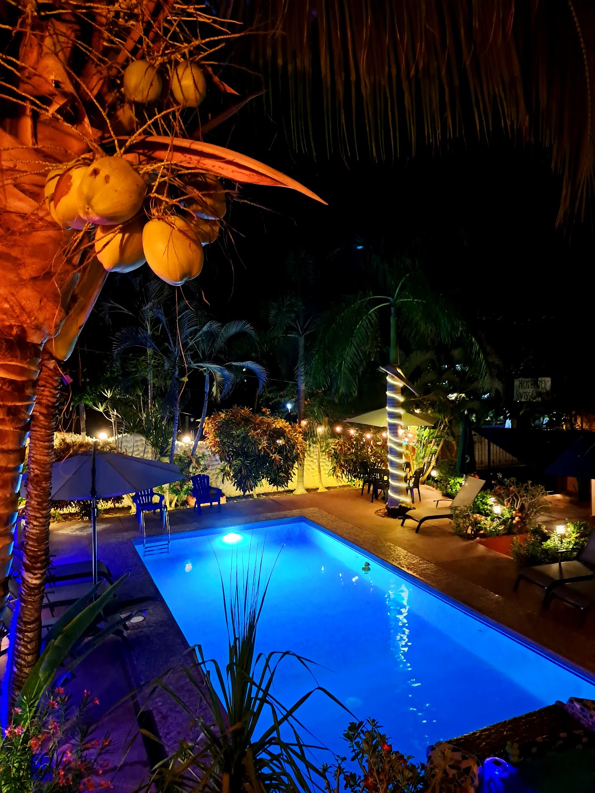 Hotelito Swiss Oasis - Solo Adultos gallery 6