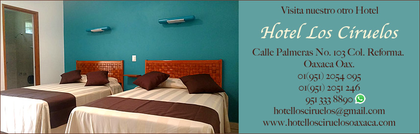 Hotel Aurora gallery 12