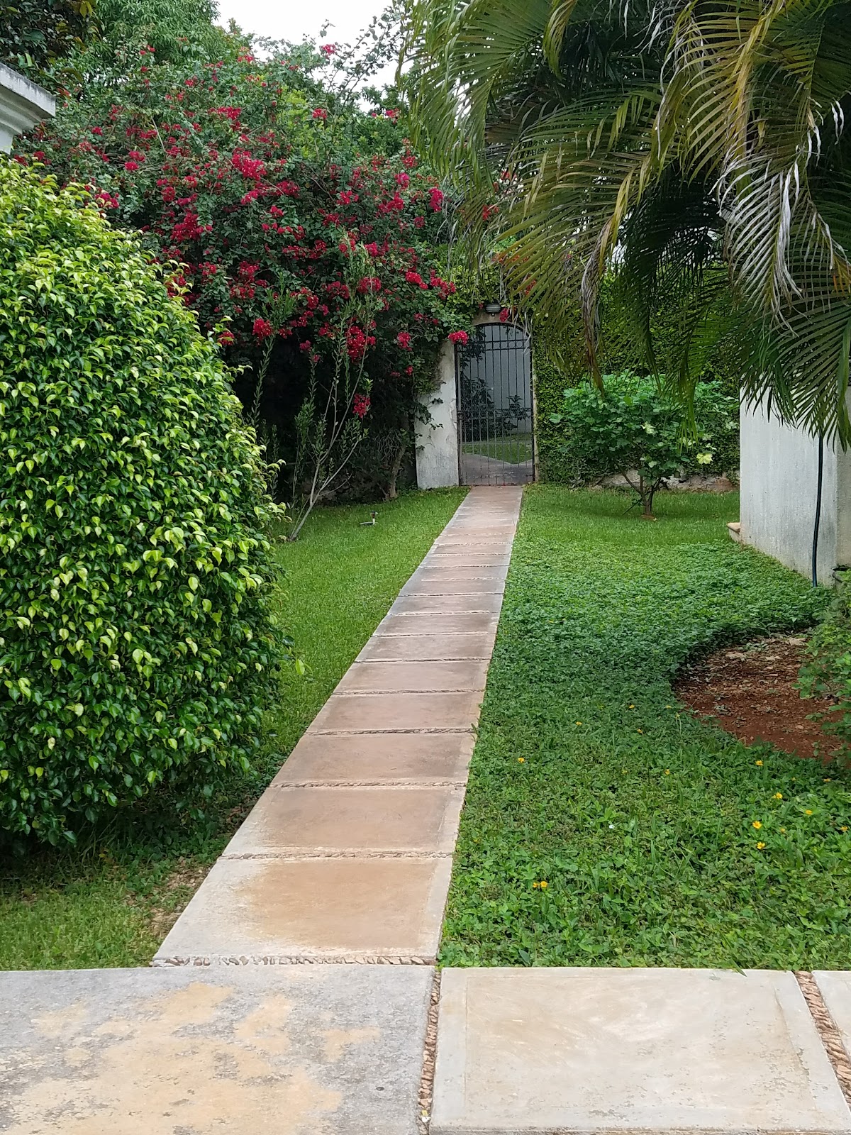 In Ka'an - Bed and Breakfast (inkaan) gallery 1