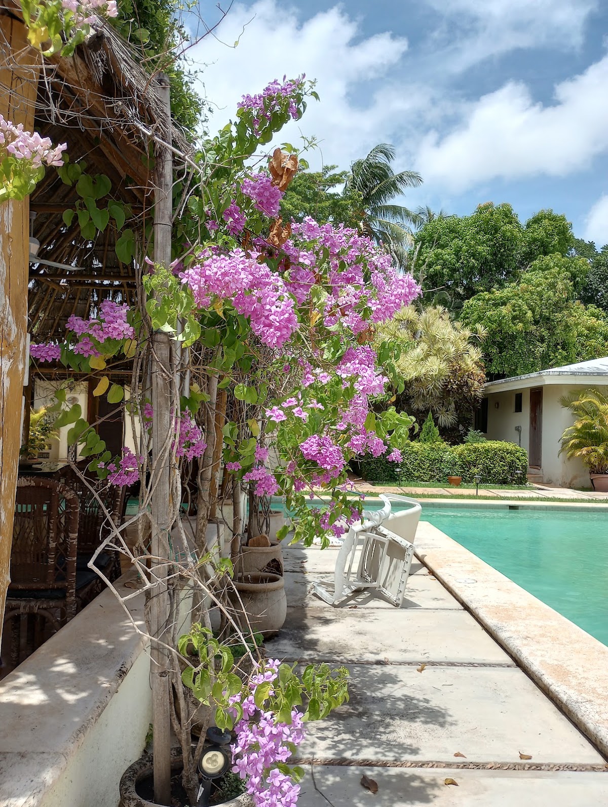 In Ka'an - Bed and Breakfast (inkaan) gallery 3