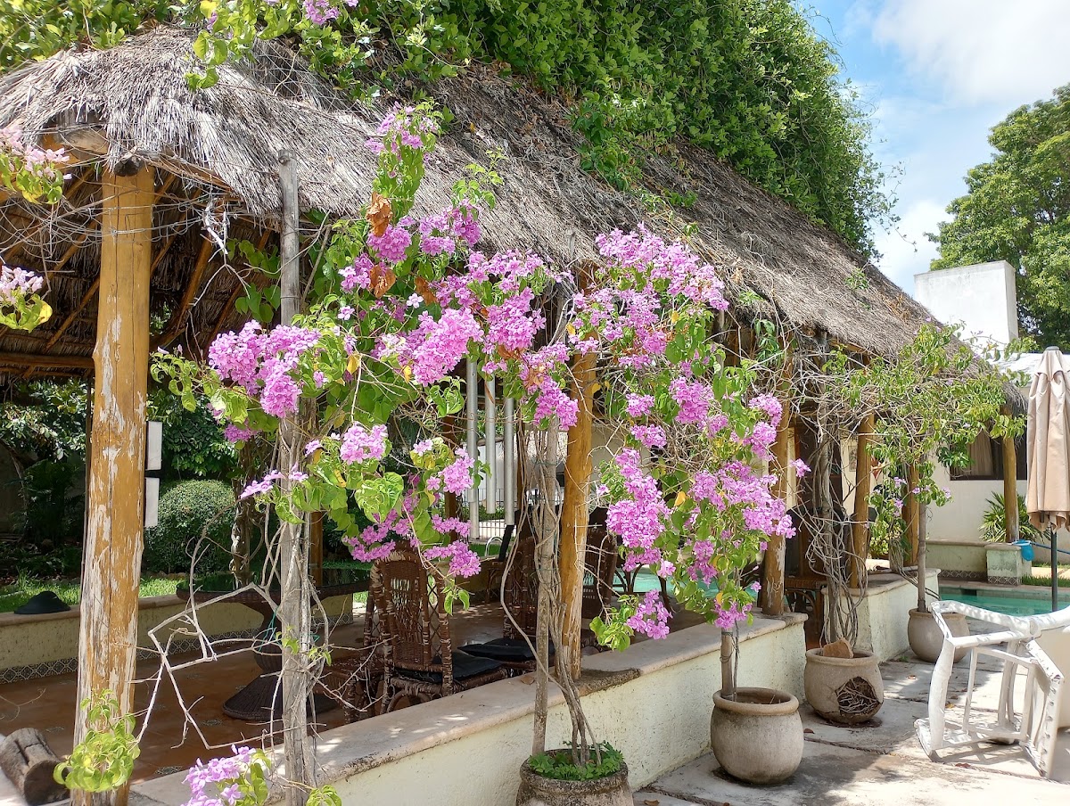 In Ka'an - Bed and Breakfast (inkaan) gallery 5