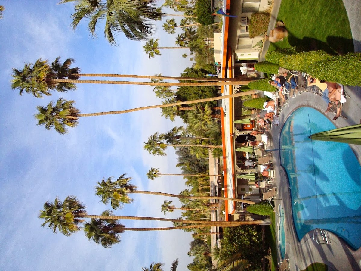 Inndulge Palm Springs gallery 1