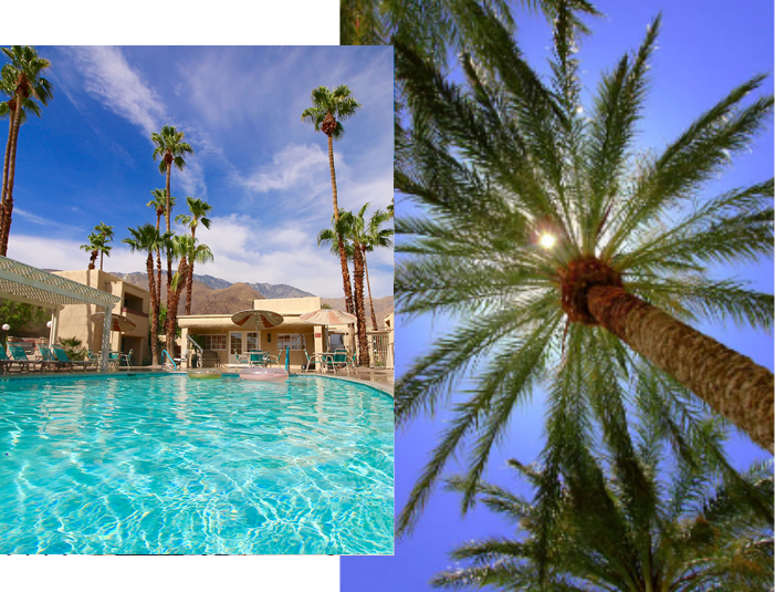 Desert Vacation Villas gallery 11