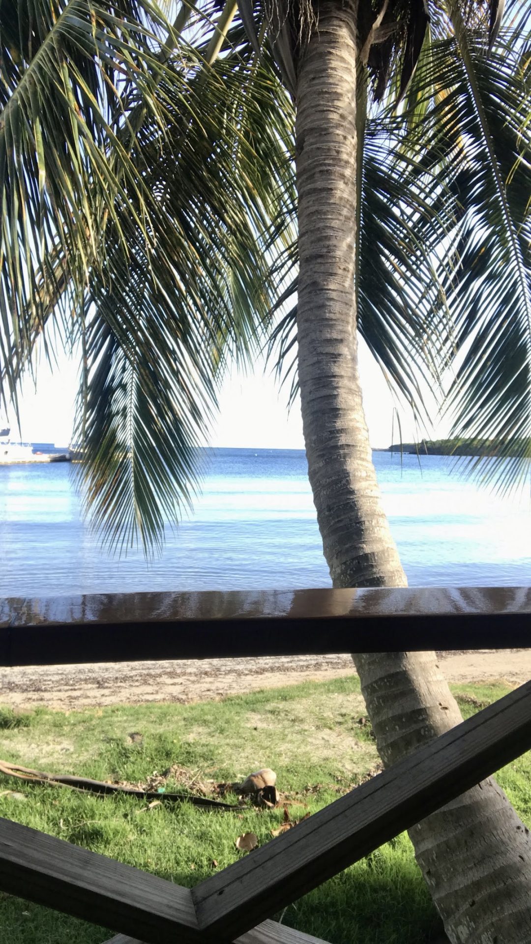 Isla Mujeres Hostel gallery 4