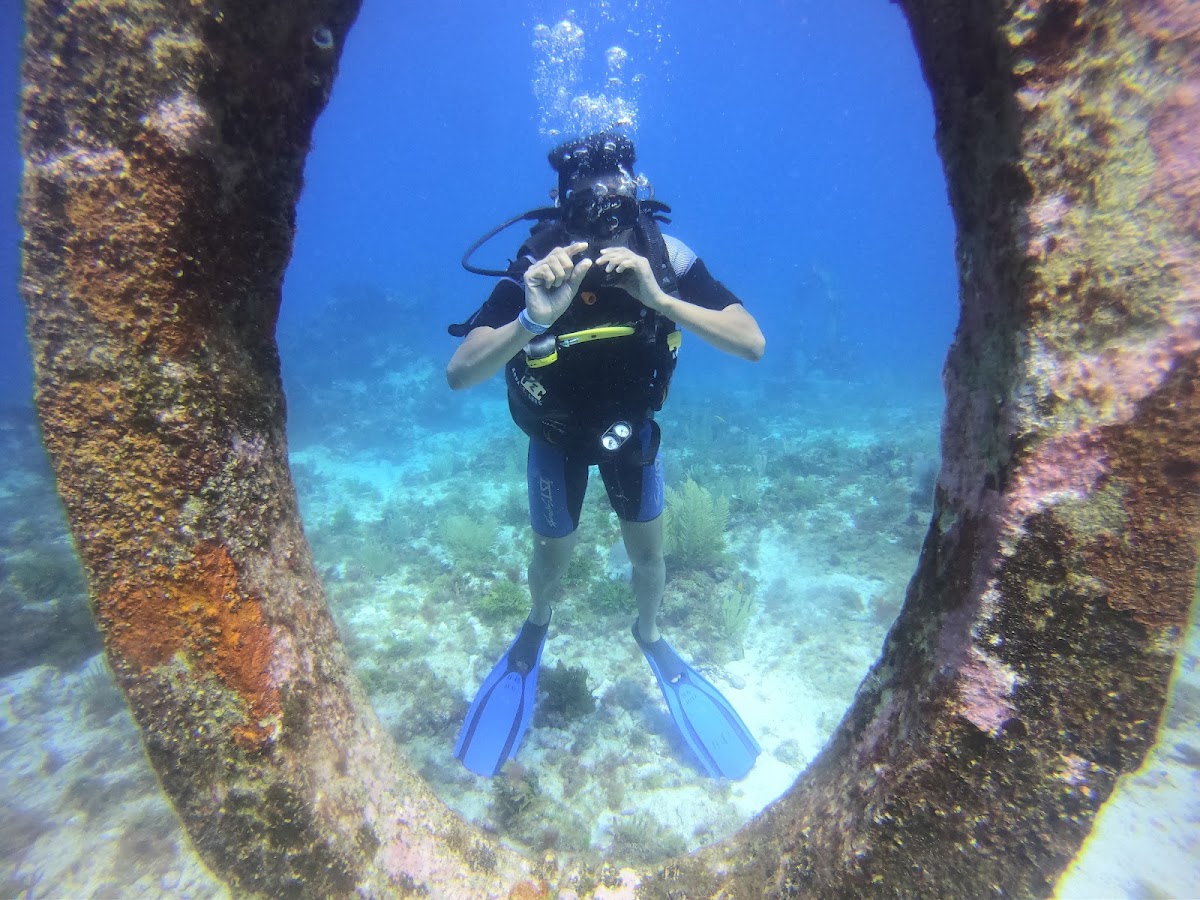 Isla Mujeres Hostel gallery 5