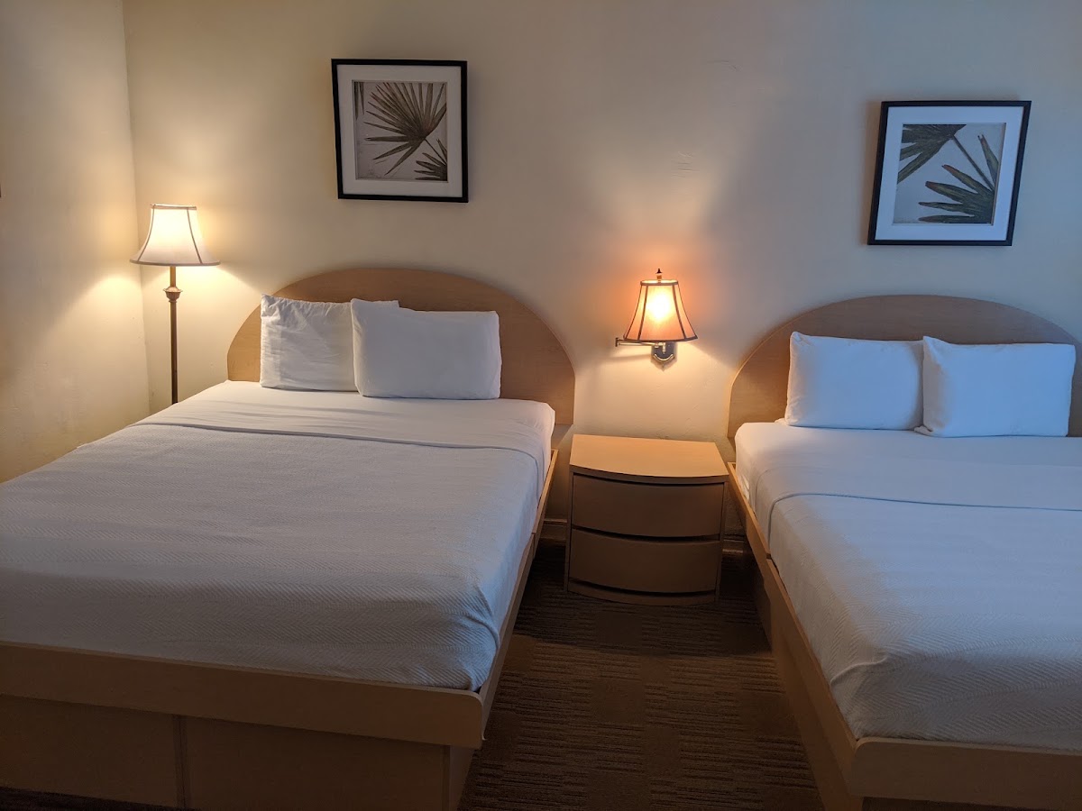 Island House South Beach Hotel gallery 6