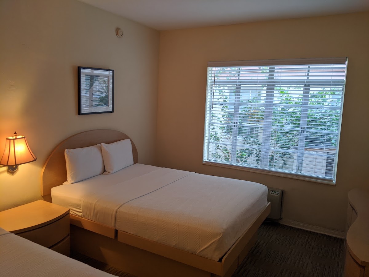 Island House South Beach Hotel gallery 8