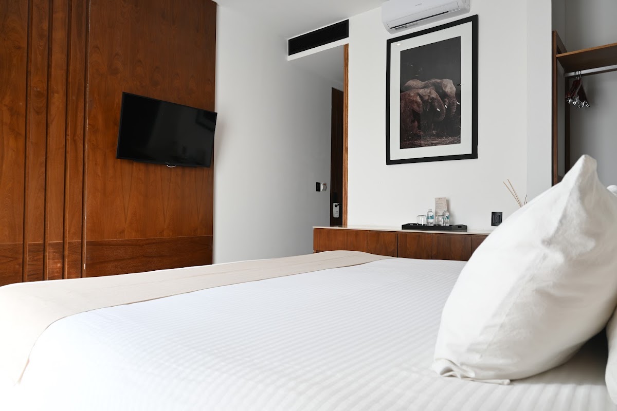 IT Hotel Playa gallery 7