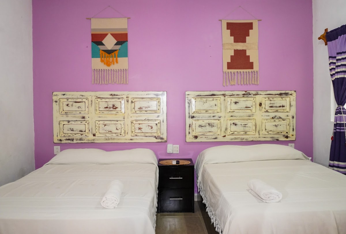 Junior & Draxx Hotel gallery 2