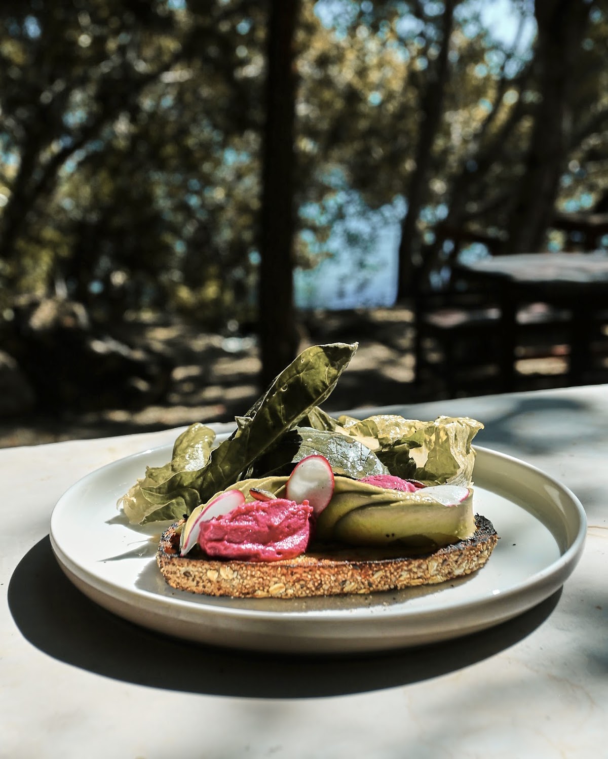 Kapok Bacalar Plant Based Hotel gallery 7