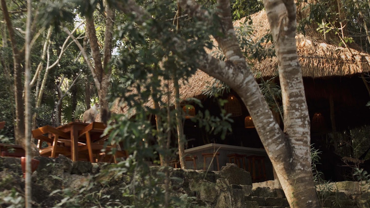 Kapok Bacalar Plant Based Hotel gallery 9