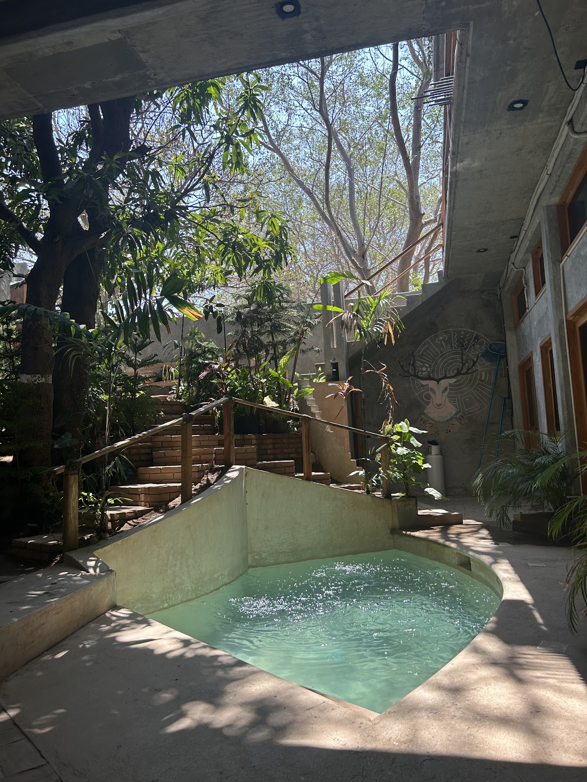 La Arbolita gallery 4