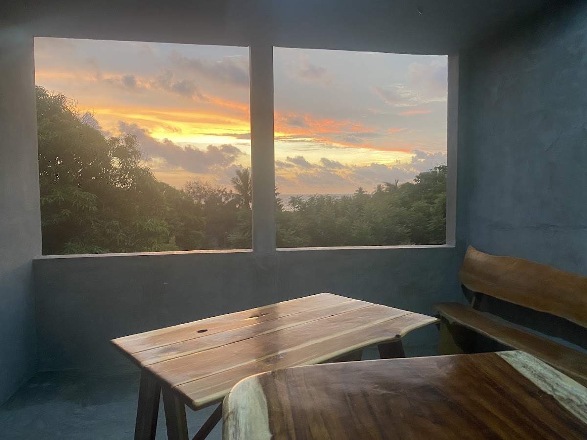 La Arbolita gallery 7