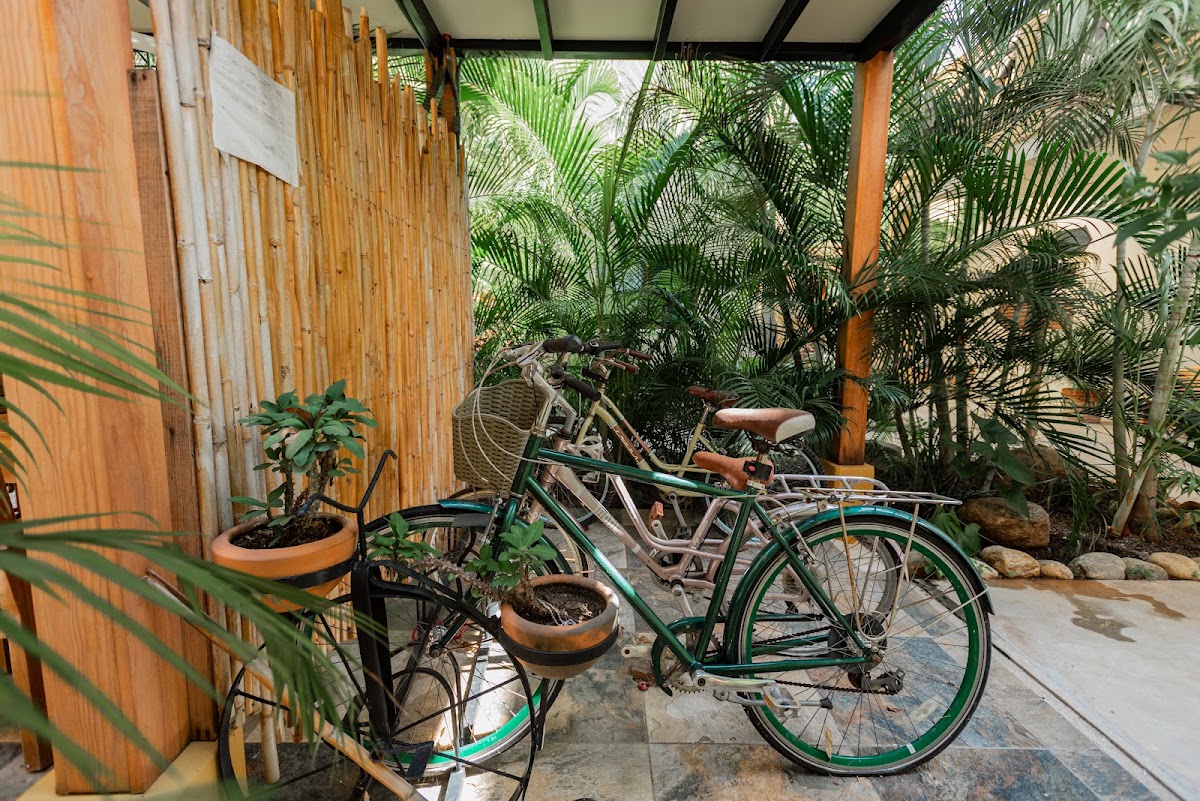 La Barca Surf House gallery 8
