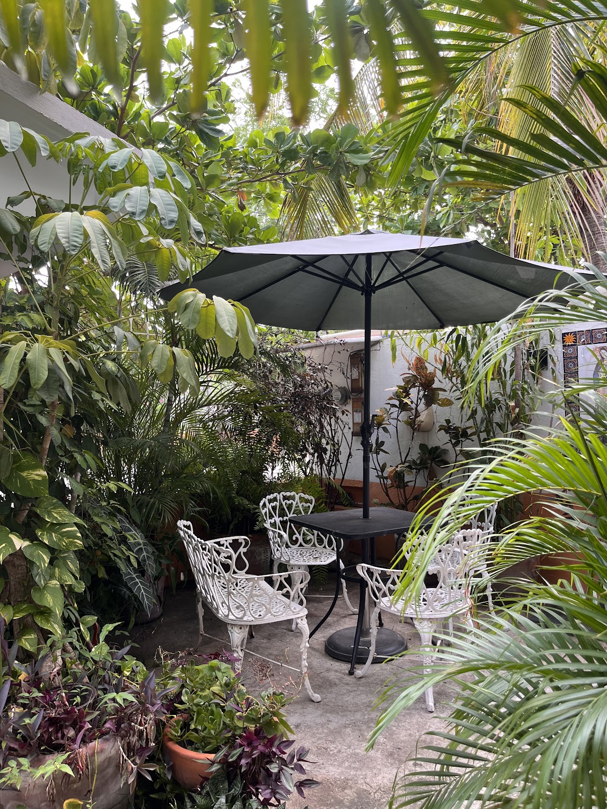 La buena vida rooms 4 rent gallery 4