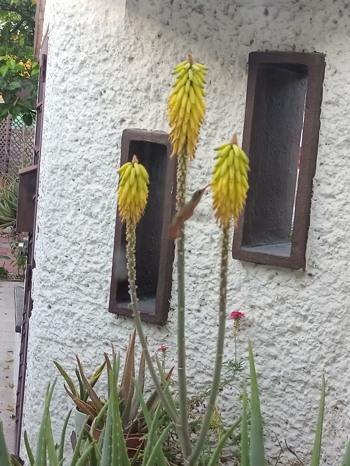 La Casa de los Colibríes gallery 1