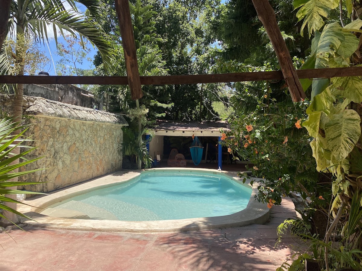 La casa de los pájaros gallery 7