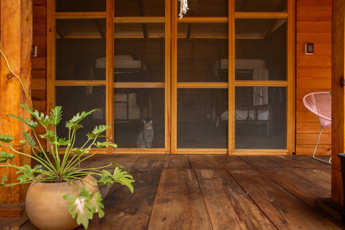 La Casona Hostel gallery 3